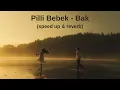 pilli bebek - bak (speed up & reverb)