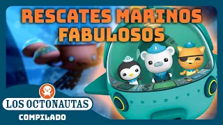 Los Octonautas - 🐋 ¡Héroes oceánicos intrépidos! 🌊 | Episodios Completos | Compilado
