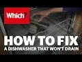 How to repair a dishwasher that won t drain - Which advice