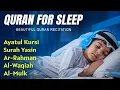 Download Lagu Bacaan Al-Quran yang menenangkan untuk tidur nyenyak  Ayah Al Kursi, Yasin, Rahman, Waqiah, Mulk