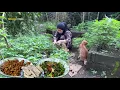 Download Lagu Masak beberapa menu untuk makan malam, tumis usus pedas manis,tumis daun ubi jalar,masakan desa