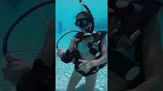 I Fell In Love With A SCUBA Instructor #scubadiving  #shorts  #sailingbyefelicia