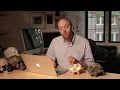 11 9 Paranthropus or Australopithecus