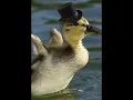Download Lagu Duckysss