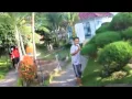 Download Lagu pungguk merindukan bulan