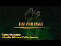 iamnotshane - Afterlife (Michael Calfan Remix)