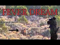 FEVER DREAM - A Public Land Archery Elk Hunt in Wyoming Limited Quota