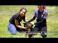 Fetch Pet Care Naples May 2023