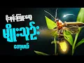 Download Lagu ဘာကြောင့် ပိုးစုန်းကြူးတွေ မျိုးသုဥ်းမဲ့ အန္တရာယ်နဲ့ ကြုံတွေ့‌နေတာလဲ?