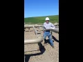 Ace s pigging