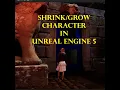 Making A Game in UE5 16 Ability for our Character