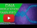 Dna Replication Part 2