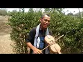 Download Lagu MARI MASUK RUMAH TUHAN - LP3KD NUSA TENGGARA TIMUR
