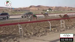 الشوط 15 الشطوطيه لـ عبيد مكتوم سلوم الراشدي 4 54 شارة الاتحاد 2020 12 31 الساد حقايق 