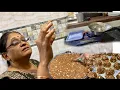 Download Lagu Winter special Adadiya full recipe ! Proportion Ke Sath ￼