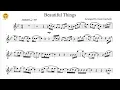 Download Lagu Beautiful Things by Benson Boone (Flute Solo with Piano Accompaniment/Sheets)