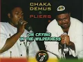 Download Lagu Chaka Demus and Pliers - Help Them Lord (lyrics)