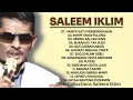 Download Lagu Best of Saleem iklim,lagu Malaysia