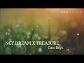 FF Nct Dream X Treasure \