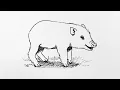 Download Lagu How to draw a piglet step by step