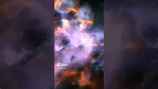 احمد شيبة   الحر  مهما تعب    دندنها