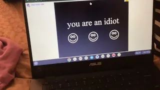 testing the youareanidiot org virus