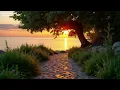 Vitor Kley  -  O Sol