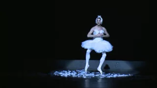 les ballets trockadero de monte carlo the dying swan