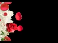 Download Lagu Non-Stop Instrumental Music