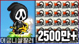 비숍 최강의 종결사냥터ㅋㅋㅋ시간당 평균 2500만메소 실화냐?ㅋㅋㅋㅋ : 메이플플래닛