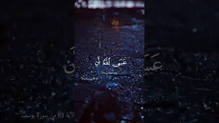 فصبر جميل عسى الله أن يأتيني بهم جميعا Foryou Quran  فصبر جميل عسى الله أن يأتيني بهم جميعا Foryou Quran