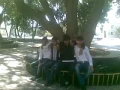 Download Lagu Inna-Feelo looooooool.mp4