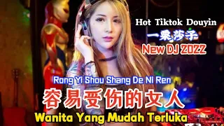 Download 容易受伤的女人 Rong Yi Shou Shang De Ni Ren【Wanita Yang Mudah Terluka】一栗莎子 New DJ抖音版 2022 - (Hot Remix) MP3