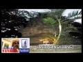 Download Lagu @BULAN DI CANGKUANG