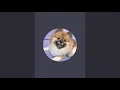 Games on geometry spot
