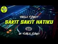 Download Lagu Funkot - SAKIT SAKIT HATIKU [BY YUNUZ FUNKY]