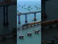 Download Lagu इतिहास का रूह कंपा देने वाला हादसा | Pamban bridge Train Accident #shorts