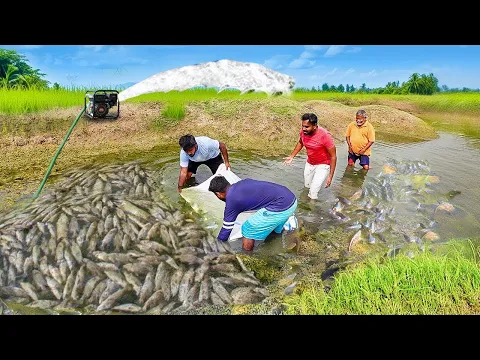 Download MP3 Unique Fishing | Pumping Water Outside the Natural Lake, Catching a Lot of Big Fish