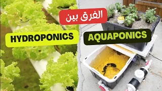 ما الفرق بين الهيدروبونيك والأكوابونيك الزراعة المائية 