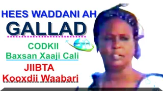 Hees Waddani Qaaraami Ah Baxsan Xaaji Cali Gallad 1977 HD 