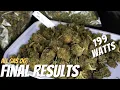 ALL GAS OG 9 Plant SCROG Mars Hydro TSW 2000 Harvest