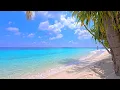 Download Lagu Maldives Ocean 4K 🏝 Tropical Beach in Summer. Ocean sounds for sleep and study