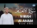 Lagu Surah Al - Anam by Alaa Aqel. سورة الأنعام. সূরা আল - আনআম।আলা আকিল। Best voice Quran reaction. 