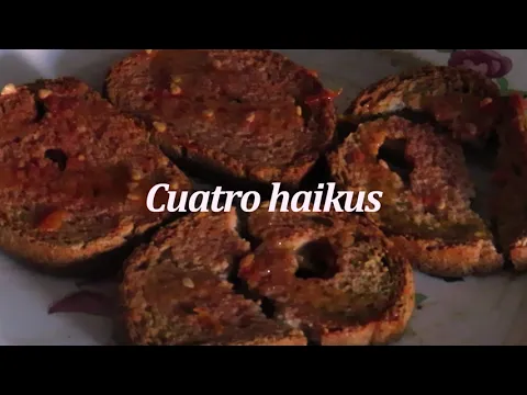 Cuatro Haikus (Guillermo Amengual, 2023)