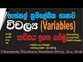 Pascal programming language How to use variables in pascal GCE OL ICT in sinhala it plus