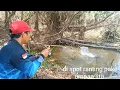 Download Lagu Mancing pake umpan jitu jarang orang tahu umpan ini 