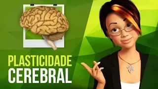 BRAIN PLASTICITY