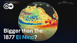 A historic El Nino is forming Here s why scientists are worried DW News