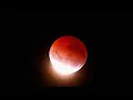 Download Lagu LIVE: Stunning Blood Moon Eclipse Seen in Multiple Countries 2025