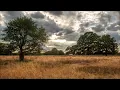 Vintage Culture, Kevin Brauer, Tuggawar - Yoga (Extended)